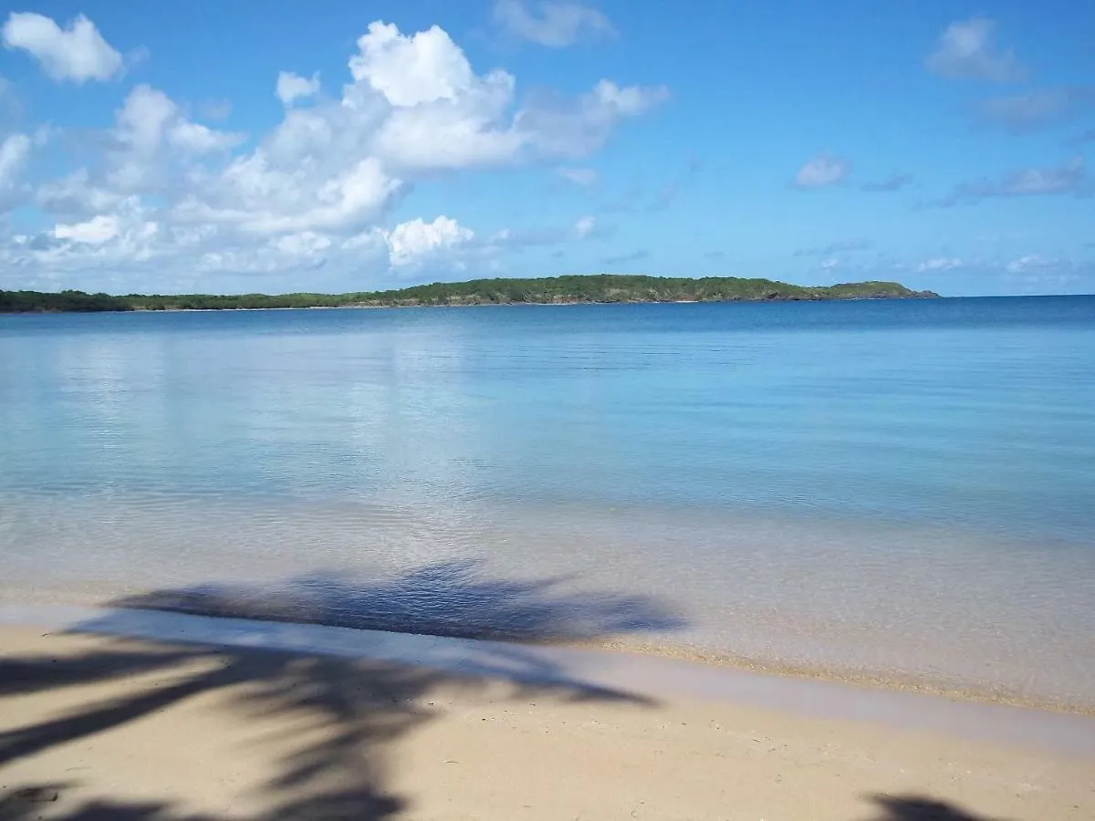 Cozy Apartment Near The Beach #1 Fajardo